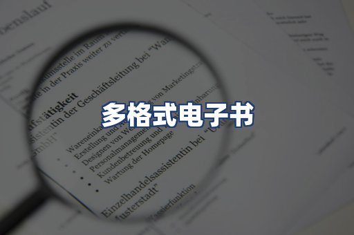 多格式电子书